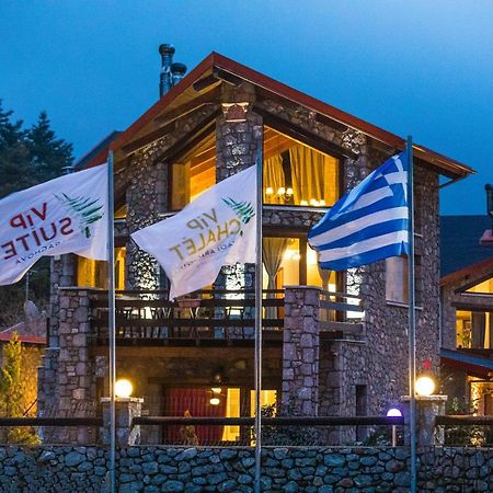 Vip Chalet 4 Seasons Arachova Esterno foto