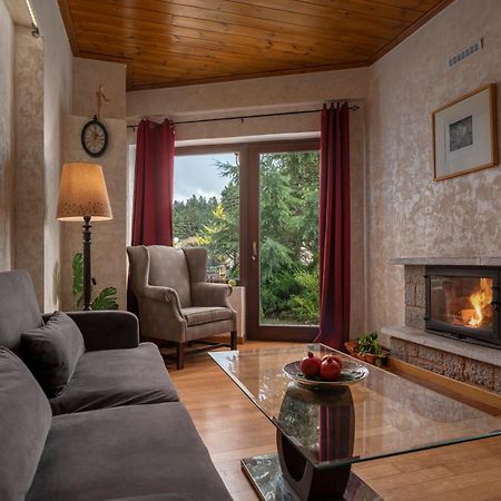 Vip Chalet 4 Seasons Arachova Esterno foto