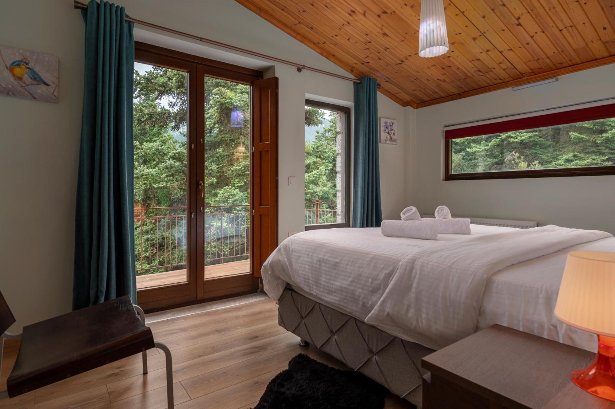 Vip Chalet 4 Seasons Arachova Esterno foto
