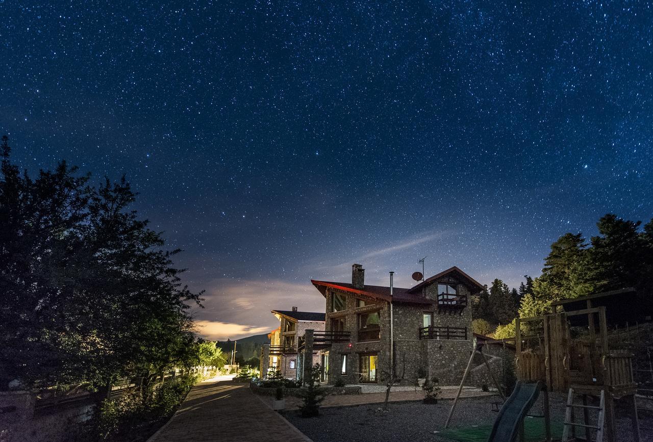 Vip Chalet 4 Seasons Arachova Esterno foto