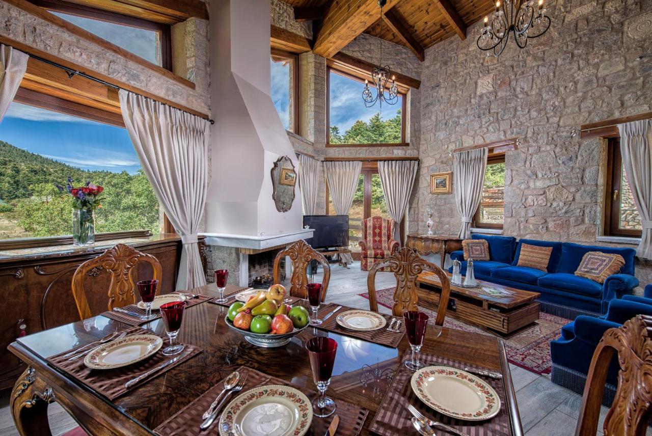 Vip Chalet 4 Seasons Arachova Camera foto
